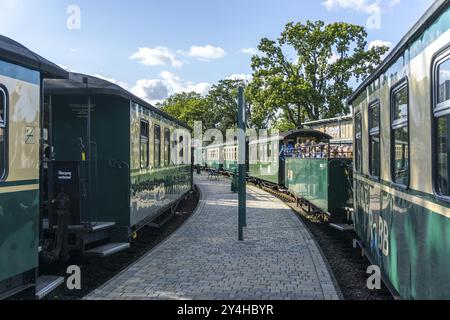 La liaison historique du train à vapeur avec le train à voie étroite appelé le Rasenden Roland, le Ruegensche BaederBahn, RueBB, ici le Sellin Ost stat Banque D'Images