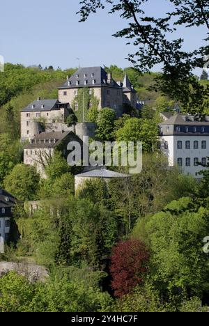 Europe, Allemagne, Rhénanie du Nord-Westphalie, Eifel, château, Blankenheim, architecture, bâtiment, vue, voyage, historique, historique, architecture, Europe Banque D'Images