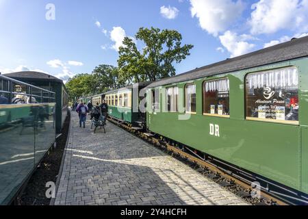 La liaison historique du train à vapeur avec le train à voie étroite appelé le Rasenden Roland, le Ruegensche BaederBahn, RueBB, ici le Sellin Ost stat Banque D'Images