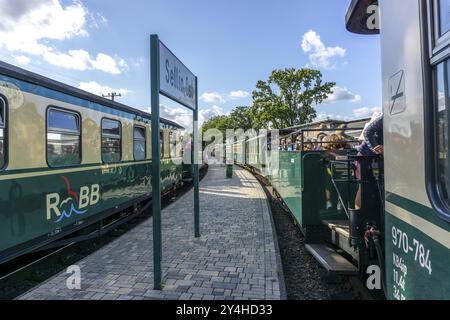 La liaison historique du train à vapeur avec le train à voie étroite appelé le Rasenden Roland, le Ruegensche BaederBahn, RueBB, ici le Sellin Ost stat Banque D'Images