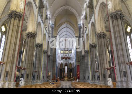 L'intérieur de la cathédrale de Lille, la basilique notre Dame de la Treille, à Lille, France, Europe Banque D'Images