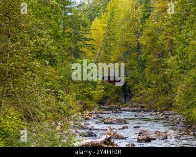 Vue de la rivière Snoqualmie depuis un drone à North Bend, Washington. Banque D'Images