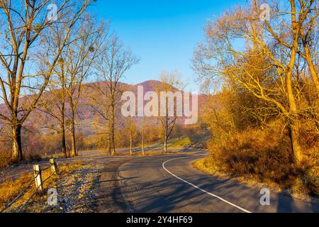 route de campagne asphaltée en montagne en automne. forêt sans feuilles sur la colline en saison d'automne. matin ensoleillé. voyage à travers la campagne de l'ukraine Banque D'Images