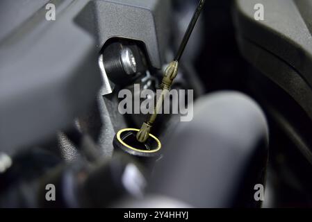 Vérifier le niveau d'huile dans Engine close Up. Niveau d'huile de tige dans le moteur de la voiture de tourisme. Banque D'Images