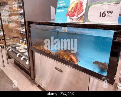 Toronto, on, Canada - 28 août 2024 : vue au rayon des fruits de mer dans le magasin canadien. Banque D'Images