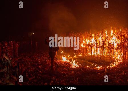 Sever do Vouga, Aveiro, Portugal. 16 septembre 2024. Les pompiers ont Uni leurs forces pour combattre un feu de forêt à Ribeira de FrÃguas près de Sever do Vouga. Le premier ministre a annoncé, ce mardi, l'élévation à l'état de calamité dans toutes les municipalités touchées par les incendies. (Crédit image : © Diogo Baptista/SOPA images via ZUMA Press Wire) USAGE ÉDITORIAL SEULEMENT! Non destiné à UN USAGE commercial ! Banque D'Images