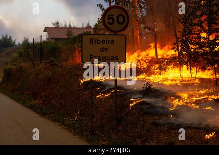 Sever do Vouga, Aveiro, Portugal. 16 septembre 2024. Un incendie fait rage sur les collines autour de Sever de Vouga, une ville du nord du Portugal qui a été entourée de feux de forêt. Le premier ministre a annoncé, ce mardi, l'élévation à l'état de calamité dans toutes les municipalités touchées par les incendies. (Crédit image : © Diogo Baptista/SOPA images via ZUMA Press Wire) USAGE ÉDITORIAL SEULEMENT! Non destiné à UN USAGE commercial ! Banque D'Images