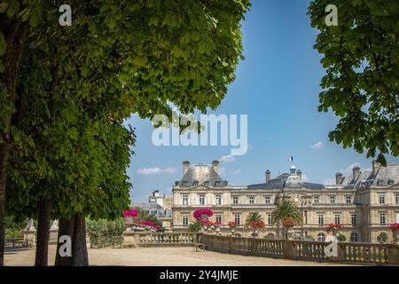 Palais du Luxembourg dans les jardins du Luxembourg à Paris, France, parmi de grands arbres verts par une journée ensoleillée Banque D'Images