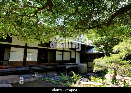 Maison traditionnelle de style japonais comme ancienne résidence de la famille Iwasaki, le fondateur de Mitsubishi dans le jardin Kyu-Iwasaki-tei. Taito, Tokyo, Japon Banque D'Images