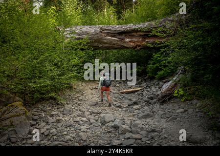 Sacs à dos femme le long du sentier de la rivière Hogh à travers Rocky Wash dans le parc national olympique Banque D'Images