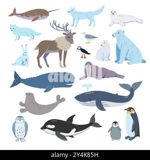 Grand ensemble de mignons animaux arctiques et antarctiques dessinés à la main, baleines, rennes, ours polaires et pingouins. Illustration vectorielle Illustration de Vecteur