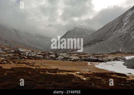 Le rivage d'un large lac avec de la glace envahie de mousse rouge près des rives d'un haut rocher se trouvant au pied d'un haut rocher parsemé du premier sno Banque D'Images