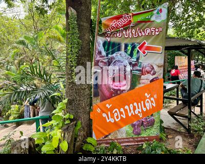 Bang Phra, Thaïlande. 18 septembre 2024. Un panneau pointe vers l'enceinte de l'hippopotame pygmée Moo Deng, âgé de deux mois. Le mignon petit hippopotame est devenu une sensation sur Internet en Thaïlande et dans d'autres pays asiatiques en raison de ses visages drôles. Le nombre de visiteurs du zoo a doublé depuis sa naissance en juillet. Crédit : Carola Frentzen/dpa/Alamy Live News Banque D'Images