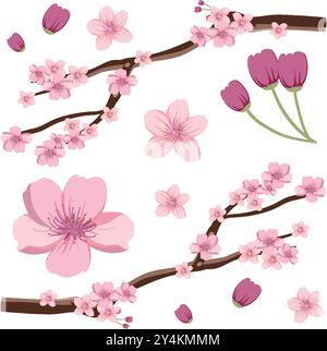 Fleurs de cerisier roses sur des branches avec des bourgeons Illustration de Vecteur