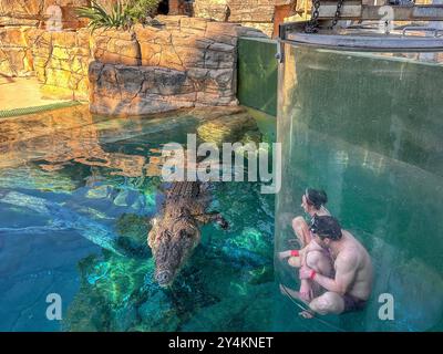 Couple dans un réservoir avec crocodile d'eau salée (Crocodylus porosus) à Crocosaurus Cove, Mitchell Street, C.B.d, ville de Darwin, territoire du Nord, Austral Banque D'Images