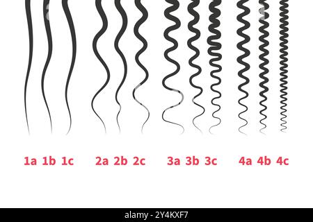 Tableau détaillé des types de cheveux ensemble de modèles de croissance des mèches Illustration de Vecteur