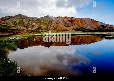 Les montagnes de rhyolite multicolores, de vastes étendues de lave et de sources chaudes dans la région montagneuse du parc Landmannalaugar près du volcan Hekla en So Banque D'Images