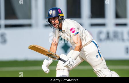 Wayne Madsen battant pour le Derbyshire dans un match de championnat du comté entre le Derbyshire et le Middlesex Banque D'Images