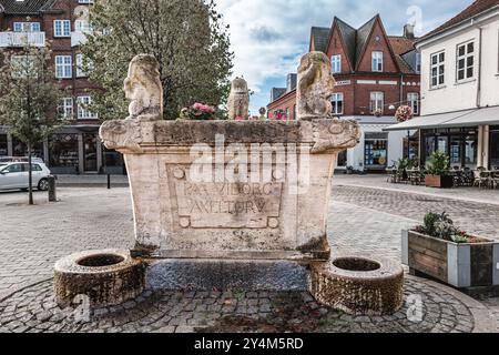 SKT Keld ancien puits traditionnel à Viborg Danemark Banque D'Images