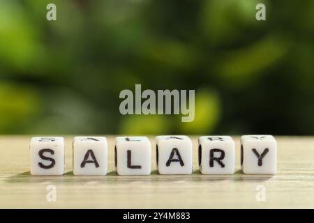 Word Salary fait de cubes sur une table en bois clair sur fond vert flou, gros plan. Espace pour le texte Banque D'Images