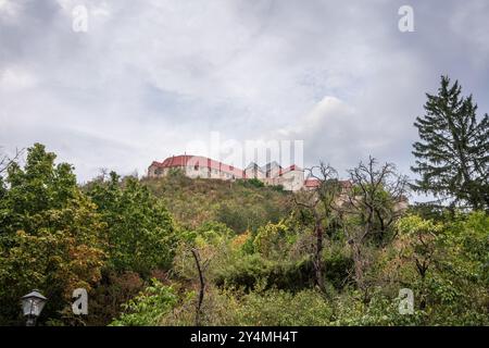 Château de Neuenburg (Schloss Neuenburg) vue de Muehlstrasse à Freyburg, Burgenlandkreis, Saxe Anhalt, Allemagne, Europe Banque D'Images