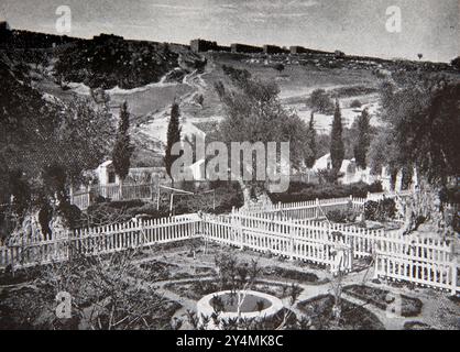 XIXe siècle photographie historique du jardin de Gethsémané au pied du mont oliviers Jérusalem Israël dit être l'endroit où Jésus Christ un Banque D'Images