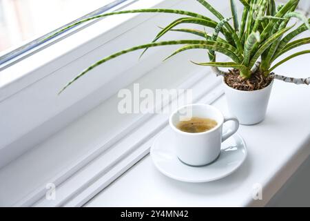 Tasse à café avec expresso et une plante en pot sur un rebord de fenêtre blanc, petite pause dans le travail du matin à la maison ou au bureau, espace de copie, foc sélectionné Banque D'Images