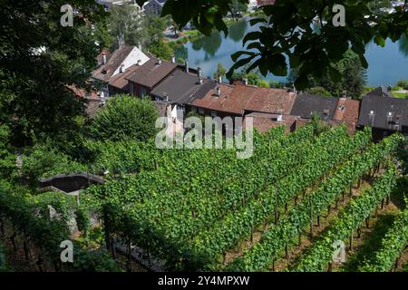 Werdenberg, Suisse - 14 juillet 2024 : vue sur le village de Werdenberg en Suisse Banque D'Images