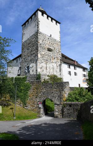 Werdenberg, Suisse - 14 juillet 2024 : vue sur le village de Werdenberg en Suisse Banque D'Images