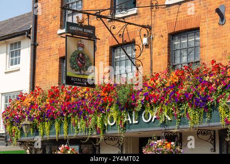 Belles fleurs à l'extérieur du pub Royal Oak sur la High Street, Marlborough, Wiltshire, Angleterre Banque D'Images