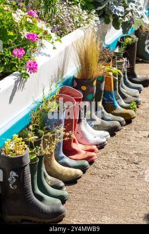 St Monans Welly Boot Garden, bottes Wellington plantées de fleurs. St Monans, Fife, Écosse Banque D'Images