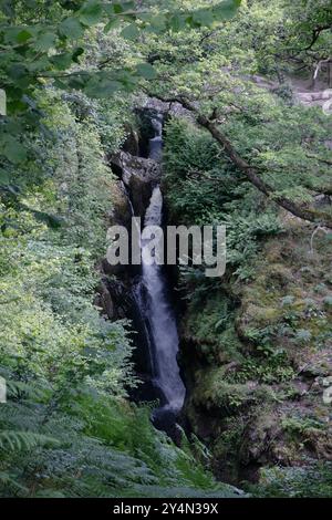 Cascade Aira Force dans le Lake District. Banque D'Images