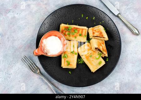 Crêpes farcies avec de la viande et de la sauce à la crème sur une assiette. Crêpes fines avec garnitures. Banque D'Images