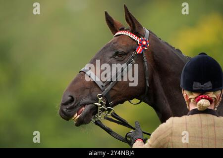 Les chevaux sont jugés lors de la compétition de recyclage des chevaux de course au Blenheim Palace Horse Trials au Blenheim Palace, Oxfordshire. Date de la photo : jeudi 19 septembre 2024. Banque D'Images