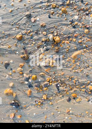 Vue rapprochée des galets de plage au crépuscule. Sable et cailloux. Banque D'Images