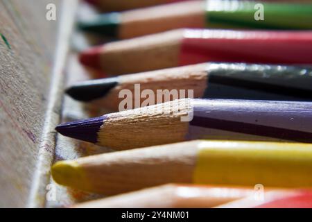 Vadodara, Gujarat / Inde - 30 décembre 2009 : vue rapprochée du dessin des crayons de couleur disposés dans une boîte. Banque D'Images