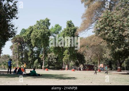 Vadodara, Gujarat / Inde - 27 février 2011 : vue d'un groupe de jeunes garçons et filles assis à l'ombre de l'arbre dans le jardin de Sayaji. Banque D'Images