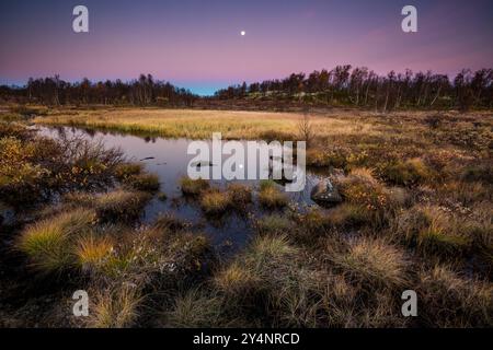 Paysage d'automne à l'aube dans la réserve naturelle de Fokstumyra, Dovre, Innlandet Fylke, Norvège, Scandinavie Banque D'Images