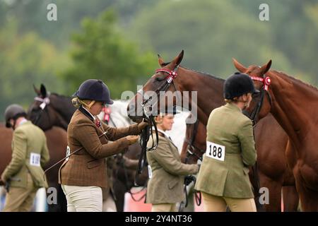 Les chevaux sont jugés lors de la compétition de recyclage des chevaux de course au Blenheim Palace Horse Trials au Blenheim Palace, Oxfordshire. Date de la photo : jeudi 19 septembre 2024. Banque D'Images