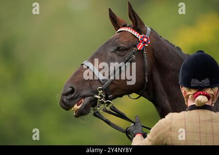 Les chevaux sont jugés lors de la compétition de recyclage des chevaux de course au Blenheim Palace Horse Trials au Blenheim Palace, Oxfordshire. Date de la photo : jeudi 19 septembre 2024. Banque D'Images