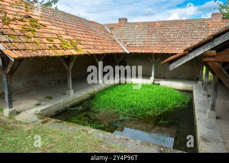 Le lavoir de Montaigu-le-Blin dispose d'un bassin herbeux, Allier. Auvergne-Rhône-Alpes, France. Banque D'Images