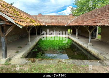 Le lavoir de Montaigu-le-Blin dispose d'un bassin herbeux, Allier. Auvergne-Rhône-Alpes, France. Banque D'Images