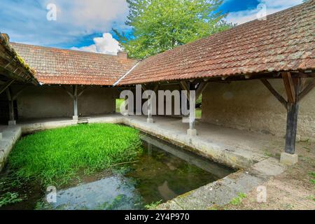 Le lavoir de Montaigu-le-Blin dispose d'un bassin herbeux, Allier. Auvergne-Rhône-Alpes, France. Banque D'Images