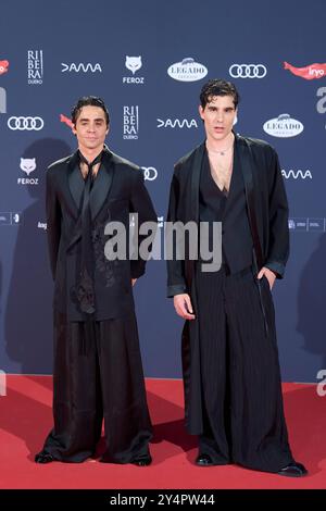 Javier Calvo, Javier Ambrossi assiste aux Feroz Awards 2024 - tapis rouge au Palais Vistalegre le 26 janvier 2024 à Madrid, Espagne. Banque D'Images