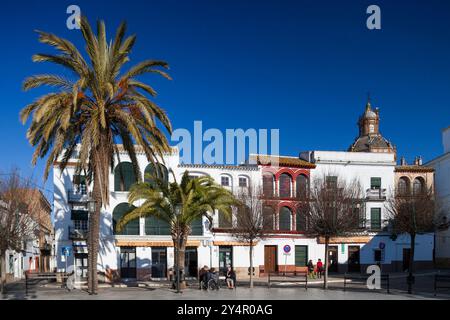 Carmona, Espagne, 8 janvier 2009, les visiteurs se détendent sur la place San Fernando, entourée d'une charmante architecture méditerranéenne et de palmiers sous un bleu clair Banque D'Images