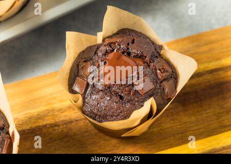 Muffins au petit-déjeuner au chocolat maison tendance prêts à manger Banque D'Images