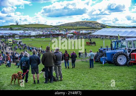 Westmorland County Show Cumbria célébrant le meilleur de la vie rurale, bétail, chiens, moutons, machines et produits locaux. Westmorlland County Agricultural Banque D'Images