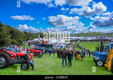 Westmorland County Show Cumbria célébrant le meilleur de la vie rurale, bétail, chiens, moutons, machines et produits locaux. Westmorlland County Agricultural Banque D'Images