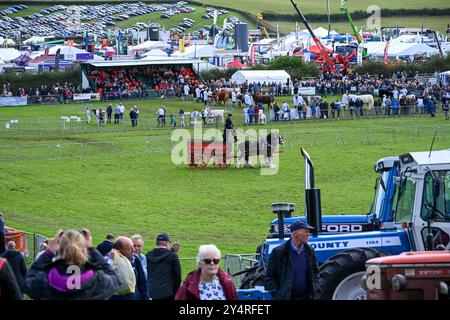 Westmorland County Show Cumbria célébrant le meilleur de la vie rurale, bétail, chiens, moutons, machines et produits locaux. Westmorlland County Agricultural Banque D'Images