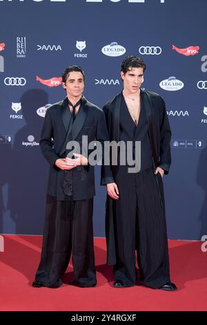 Javier Calvo, Javier Ambrossi assiste aux Feroz Awards 2024 - tapis rouge au Palais Vistalegre le 26 janvier 2024 à Madrid, Espagne. Banque D'Images